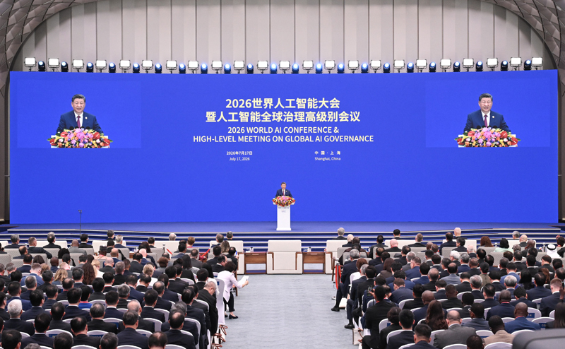 图片4